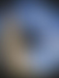 Living & Working Together