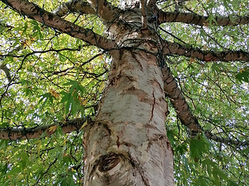 WhatsApp Image 2021-01-03 at 13.22.03.jp