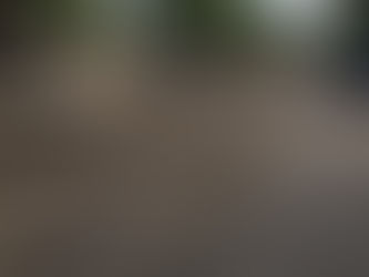 Ayuntamiento de Tecomán resuelve problema de drenaje en Cofradía de Juárez