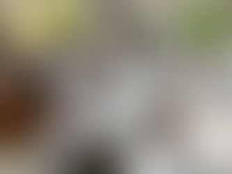 Asisten estudiantes de la UdeC a simposio de biología celular y molecular, en Guadalajara