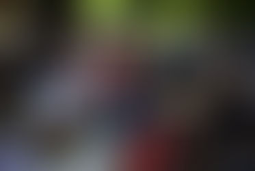 Personal de Tecnologías Informacionales conecta arte, naturaleza y emociones