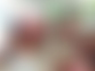 DIF Tecomán reparte Rosca de Reyes entre personas de la tercera edad