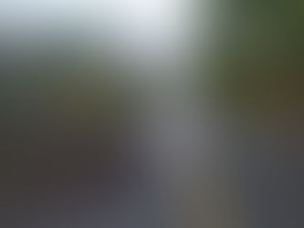 20 árboles caídos y otros daños, por Tormenta Tropical “Dolores”: Felipe Cruz