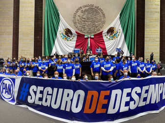 Busca PAN reforma Constitucional para crear seguro de desempleo
