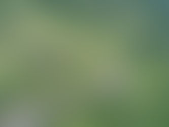 Rehabilitan camino Turla-Tamala