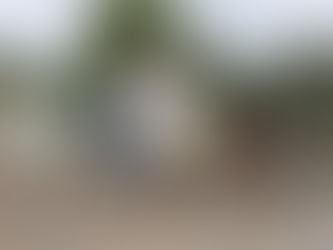 Presupuesto 2019 enfocado, principalmente, en el mejoramiento del municipio: LMS