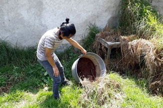 59% de casos de dengue son en niños, adolescentes y jóvenes: Salud