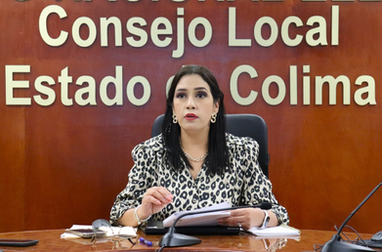 Invita INE a participar en el Concurso Público 2026 del Servicio Profesional Electoral Nacional