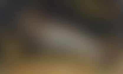 Gustave Courbet: el realista rebelde que desafió su tiempo