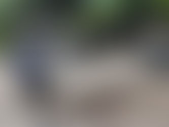 Servicios públicos de Tecomán da mantenimiento al panteón de Dolores