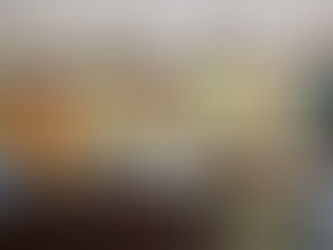 Yáñez Centeno gestiona donación de predio para Parque Metropolitano de Manzanillo