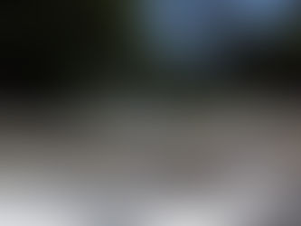 Vecinos reportan daños en el Jardín Juárez