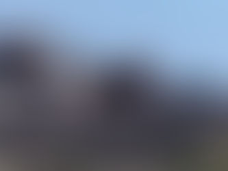 Denuncian tala indiscriminada de árboles en Villa de Álvarez