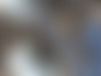 Localizan restos de 11 personas en 9 fosas clandestinas encontradas en Tecomán
