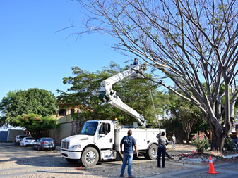 Riult Rivera supervisa limpieza en Jardines Vista Hermosa
