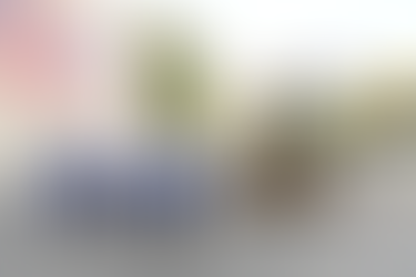 Riult Rivera destaca la importancia de proyectos como el Hotel Hampton by Hilton para el crecimiento de Colima