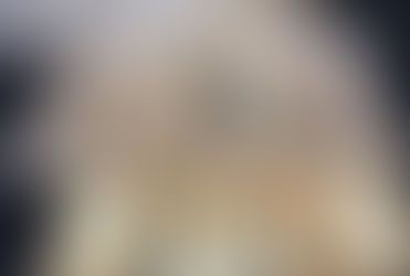 Aseguran cocaína oculta dentro de bolillos, con destino a California