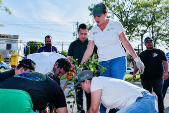 UdeC y Ayuntamiento de Colima plantan 80 árboles en la colonia Oriental