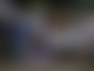 Camino Real, Campeón Estatal De Charreria 2024