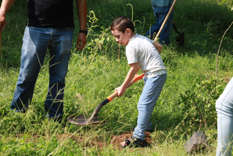 Trabajar por el medio ambiente nos fortalece como sociedad: Riult Rivera