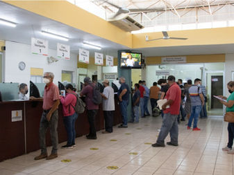 Suspende Movilidad expedición de licencias por actualización de sistema