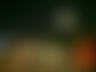 A altas horas de la madrugada, Riult Rivera concluye los trabajos de poda y luminarias en Moctezuma y Jardines del Sol