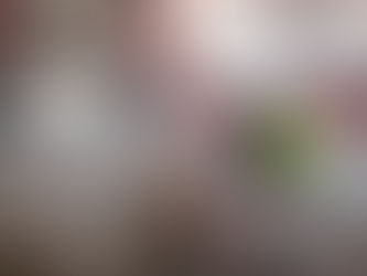 Ayuntamiento de Manzanillo hará una completa remodelación del Auditorio Manuel Bonilla Valle