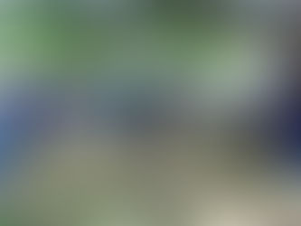 Sensibilizan a futuros veterinarios en adiestramiento canino