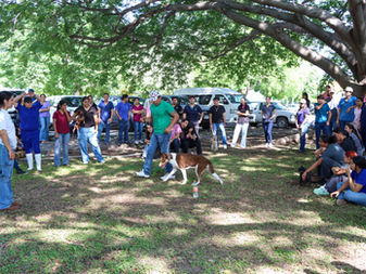 Sensibilizan a futuros veterinarios en adiestramiento canino