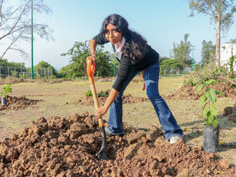 Siembran 182 árboles en los bachilleratos 17 y 25 de Comala