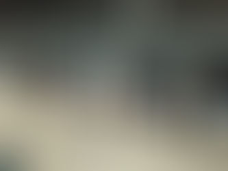 Alumnos de la UdeC estudian administración de minerales en ganado Holstein