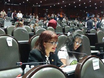 Diputada Claudia Yáñez va por la Protección del Medio Ambiente de Colima