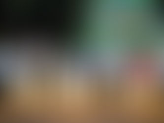 La UdeC participa en el Encendido del Árbol 2025 de ASIPONA Manzanillo