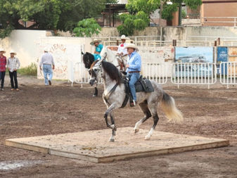 Gerardo Castellón y David Rodríguez Ganadores del Campeonato Nacional del Caballo Bailador