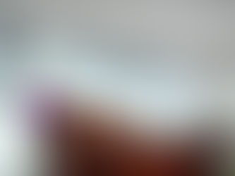 Coloquio nacional para reflexionar y compartir  experiencias sobre educación ambiental