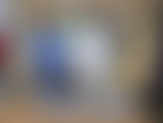 Dona Ayuntamiento de Manzanillo libros de Anfibios y reptiles de Colima a Facultad de Ciencias Marinas