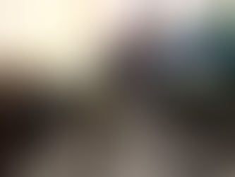 Ayuntamiento de Colima retira temporalmente Esculturas del Arriero y la Mula para su Restauración