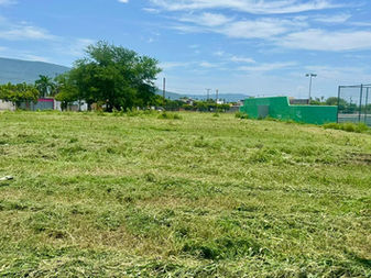 Ayuntamiento 𝐝𝐞 𝐓𝐞𝐜𝐨𝐦𝐚́𝐧 𝐫𝐞𝐟𝐮𝐞𝐫𝐳𝐚 𝐚𝐜𝐜𝐢𝐨𝐧𝐞𝐬 𝐝𝐞 𝐥𝐢𝐦𝐩𝐢𝐞𝐳𝐚 𝐞𝐧 𝐜𝐨𝐥𝐨𝐧𝐢𝐚𝐬 𝐲 𝐞𝐬𝐩𝐚𝐜𝐢𝐨𝐬 𝐩𝐮́𝐛𝐥𝐢𝐜𝐨𝐬