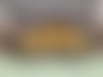 Oro y plata para jugadores de Handball en categorías junior