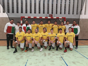 Oro y plata para jugadores de Handball en categorías junior