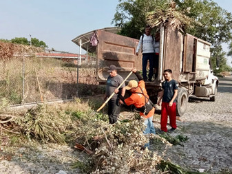 Después de 6 meses, vuelven a recogerse ramas en Colima
