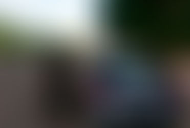 Detiene en Jalisco a una persona que transportaba indocumentados