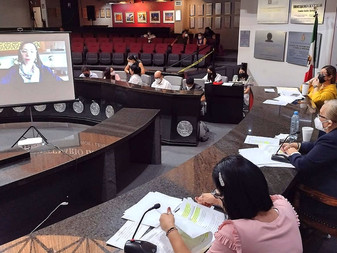 Designa Congreso del Estado al Concejo Municipal De Tecomán