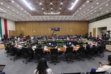 Designa Consejo General del INE Presidencia del OrganismoPúblico Local de Jalisco