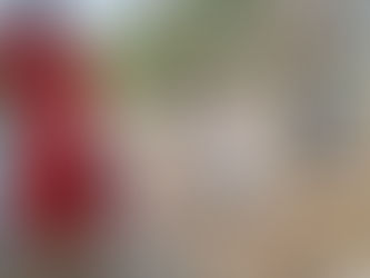 Falso que se haya desalojodo el albergue de animales denominado Buscando a Domino AC