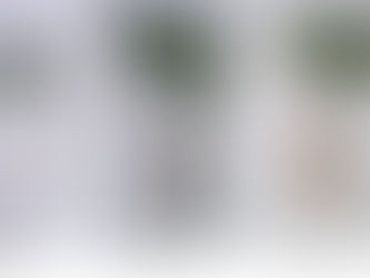 Investigadora desarrolla biofertilizantes para recuperar el suelo y apoyar a productores