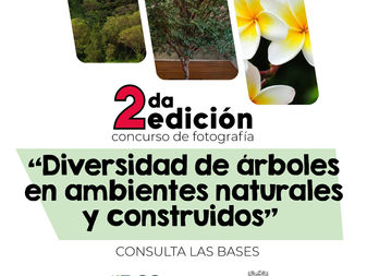 Convoca Ayuntamiento de Colima a 2° concurso de fotografía