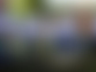 Participa UdeC en la Reforestación 13.0 del Grupo Hazesa, en Manzanillo