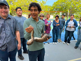 Estudiantes de Biología conocen de cerca la diversidad de serpientes en Colima