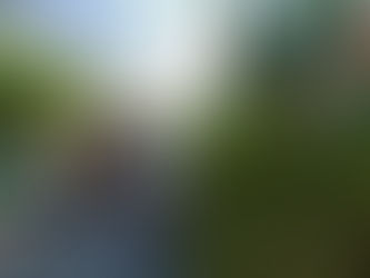 Ayuntamiento de Colima informa sobre la recolección de ramas y cacharros en abril